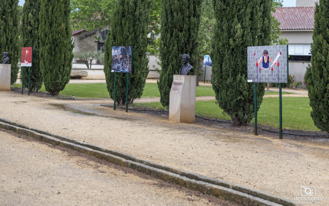 Exposition de mes photos à Eyragues !